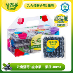 怡颗莓 当季云南蓝莓14mm+ 6盒礼盒装 125g/盒 生鲜水果礼盒