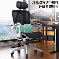 纯颜 护腰 人体工学椅   经济型