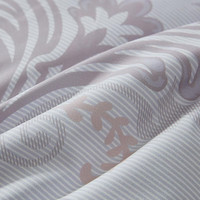 罗莱生活 LUOLAI 羽绒被TG 鹅绒被A类阻螨雪域鹅绒被95白鹅绒冬被悦享波兰 A类阻螨雪域鹅绒被 200*230cm