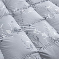 罗莱生活 LUOLAI 羽绒被TG 鹅绒被A类阻螨雪域鹅绒被95白鹅绒冬被悦享波兰 悦享·A类波兰95羽绒四季被 200*230cm