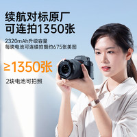 移动端、京东百亿补贴：绿巨能 NP-FZ100 相机2电1充套装