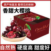 洽乐 山东美早樱桃3斤特大果礼盒装 JJJ级约30-32mm 新鲜当季水果