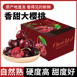 洽乐 山东美早樱桃3斤特大果礼盒装 JJJ级约30-32mm 新鲜当季水果