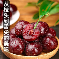 大洋坪【/京东】大连美早大樱桃国产车厘子当季新鲜水果礼盒装 0.9斤(净重) 30-32mm【3J级】