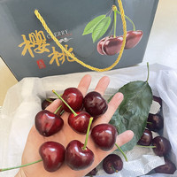 大洋坪【/京东】大连美早大樱桃国产车厘子当季新鲜水果礼盒装 4.8斤(净重) (礼盒装) 24-26mm【XL级】(果子偏小)