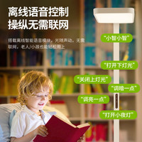 三雄极光落地护眼灯立式全光谱护眼台灯儿童学习书桌钢琴落地大路灯 天目光 100W 离线语音 白色