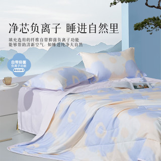 百丽丝 水星家纺集团旗下 A类可水洗夏凉被 空调被被芯夏被夏季 硅藻土夏被(清茉屿花&紫) 150cm*200cm