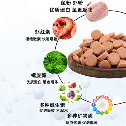 Penison 小型鱼饲料贴片凤尾鱼食热带鱼孔雀鱼红绿灯科鱼斗鱼幼鱼微粒鱼粮