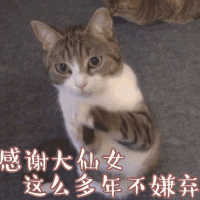 妈妈,嘴上说我浪费钱,转头就和张阿姨炫耀去了吧?别再说自己“没事”啦!
