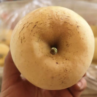 佑嘉木(BlessedWood)山东烟台奶油富士苹果新鲜水果脆甜苹果【单果65mm+】 净重 4.5斤