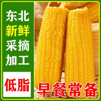 萌谷粒 精选东北黄糯玉米250g*8根
