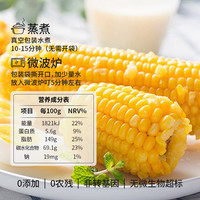 新货甜糯玉米棒新鲜粘黏黄糯米玉米真空包装袋非东北水果早餐