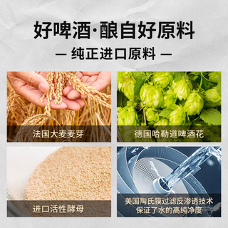  stangen/斯坦根 全麦酿造 小麦白啤酒  1x2x980ml 2L