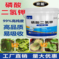 欢能99%高纯度磷酸二氢钾农用叶面肥5公斤大包装蔬菜速溶水溶肥料 磷酸二氢钾5KG*1桶