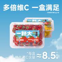 【一颗大】樱桃番茄千禧小串番茄西红柿新鲜自然486g*4盒串樱桃