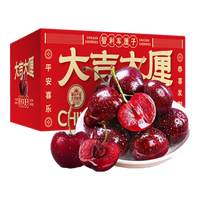 鲁禧海岸樱桃水果 山东大樱桃 国产车厘子新鲜水果 时令孕妇水果 酸甜可口 (净重) 中果-果径22-26mm