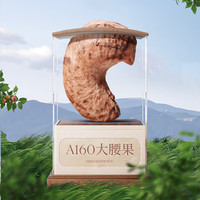 觅菓（miguo）柬埔寨A160紫衣大腰果仁低温烘焙淡盐味坚果炒货休闲零食500g/罐 柬埔寨A160紫衣腰果500g