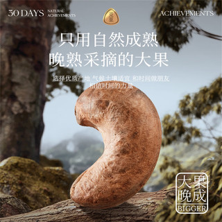 觅菓（miguo）柬埔寨A160紫衣大腰果仁低温烘焙淡盐味坚果炒货休闲零食70g袋装 柬埔寨A160紫衣腰果70g