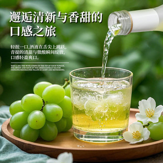 安娜王妃果酒女士低度甜酒女士微醺青提茉莉酒适合女生喝的酒茶酒