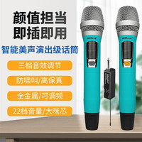 奇声无线话筒家用高保真演出会议KTV卡拉OK专业无线麦克风户外无线话筒家用话筒唱歌话筒家用麦克风 U33 演出级弹唱话筒_送高端收纳盒