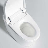 瑞尔特(R&T)家用马桶抗菌坐便器UVC动态水路杀菌离坐关盖冲水智能马桶 UX60节能版