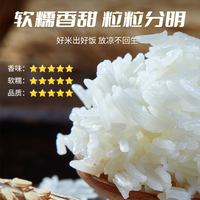 宋稻家 岭南油粘米10斤 南方大米籼米年货