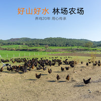 我老家农家土鸡 走地鸡笨鸡 新鲜鸡肉 整鸡净膛 *老母鸡