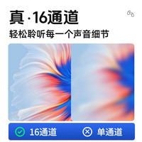 纽维达 LS301 盒式助听器 极重度耳聋适用 双耳装