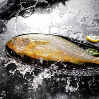 裕琳珑 大黄鱼 鲜活深海捕捞黄花鱼 国产小黄花鱼 海鲜水产生鲜冷冻鱼类 大黄鱼 8条装 礼盒款 1斤/条