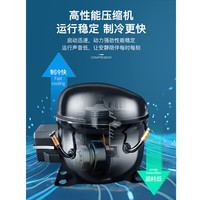 SAST/先科 58S138 一级能效双开门冰箱 188L