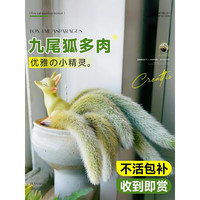 壹植九尾狐多肉植物室内盆栽耐寒长软毛白狐品种办公室摆件仙人掌绿植 1棵九尾狐(20CM以上)送土100G+肥