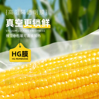 十月稻田黄糯玉米东北大棒玉米低脂新鲜真空装粘黏苞米220g*8/袋