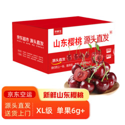 京鲜生 山东樱桃/车厘子 XL级/6g+ 净重4.5斤 生鲜水果 源头直发