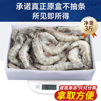 尚致厄瓜多尔白虾王牌大虾鲜活盐冻对虾超大基围虾生鲜虾 【30-40大虾】 3斤(净重)  16-18cm