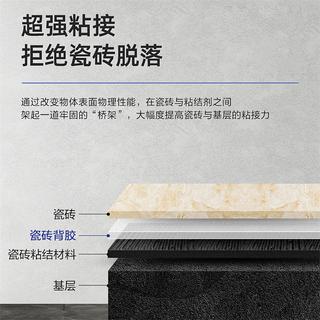立邦立邦袋装家用瓷砖胶无尘水泥代替水泥强力粘合剂墙地砖粘结快涂宝 立邦好贴瓷砖胶【20KG】