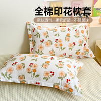 全棉枕套一对装纯棉枕套家用床上用品单件套枕套对装