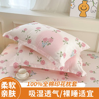全棉枕套48x74cm一对装100%棉印花枕头套宿舍家用床品