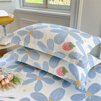 全棉枕套一对装48x74cm纯棉单人枕头套罩枕芯内胆套男女