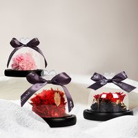 唯忆 永生花礼盒小确幸-红色康乃馨（送灯串）