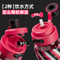 皇家洛克(ROYALLOCKE)玻璃杯女生吸管杯高颜值便携随手杯办公室高硼硅玻璃水杯 紫色 500ML