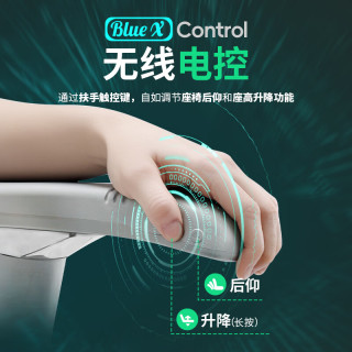 Ergonor保友金豪L2电竞人体工学椅久坐电脑家用办公老板座椅 黑色美国网 整椅 