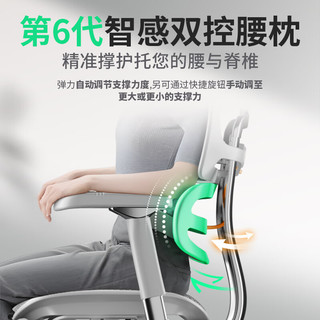 Ergonor保友金豪L2电竞人体工学椅久坐电脑家用办公老板座椅 黑色美国网 整椅 
