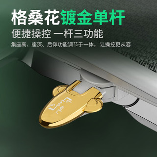 Ergonor保友金豪L2电竞人体工学椅久坐电脑家用办公老板座椅 黑色美国网 整椅 