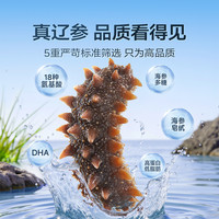 【7A即食海参500g】长鹿岛大连海参店鲜活辽参野生海参 1斤