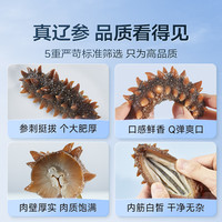 【7A即食海参500g】长鹿岛大连海参店鲜活辽参野生海参