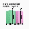 不莱玫 大容量行李箱女拉杆箱男密码箱万向轮旅行箱登机箱 青提色 22英寸