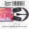 BINGLE宾果 利维坦 Type-C接口带麦 深渊黑 耳机+USB转接+耳机架