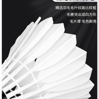 中极星 ZJSTAR 超耐打中极星羽毛球 球热销榜耐打正品旗舰店训练球耐打王鹅毛球