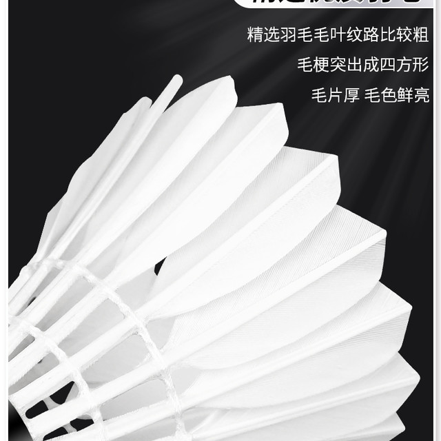 中极星 ZJSTAR 超耐打中极星羽毛球 球热销榜耐打正品旗舰店训练球耐打王鹅毛球