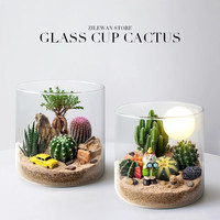 绿荫巷子仙人掌微景观盆栽沙漠山丘趣味摆件植物盆景多肉花卉桌面绿植 沙漠之洲【C款】-需简单